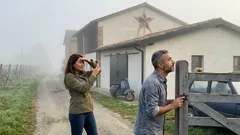 Perché sui fienili americani c’è una stella a cinque punte? Storia, credenze e un equivoco comune